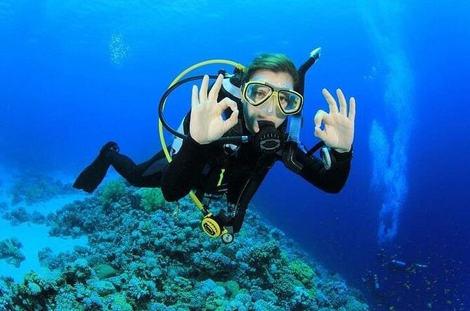 Side /Manavgat : Underwater Museum Scuba Diving w/ Lunch Transfer - Exploring Side’s underwater museum and marine life