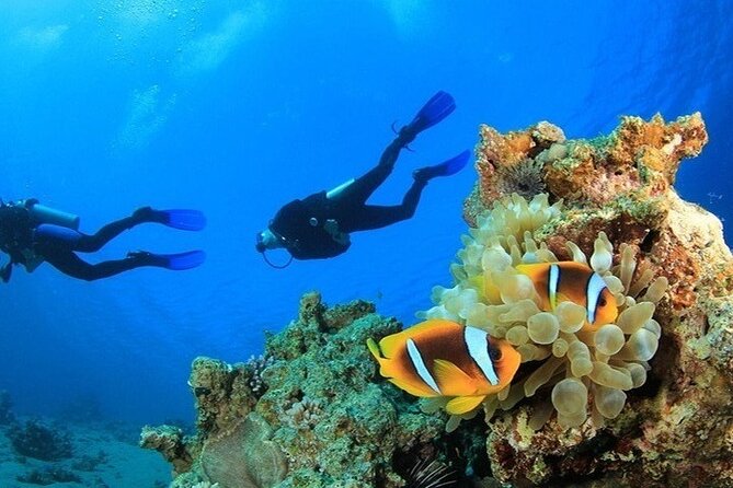 Side /Manavgat : Underwater Museum Scuba Diving w/ Lunch Transfer - Time on the boat and the feel of the day