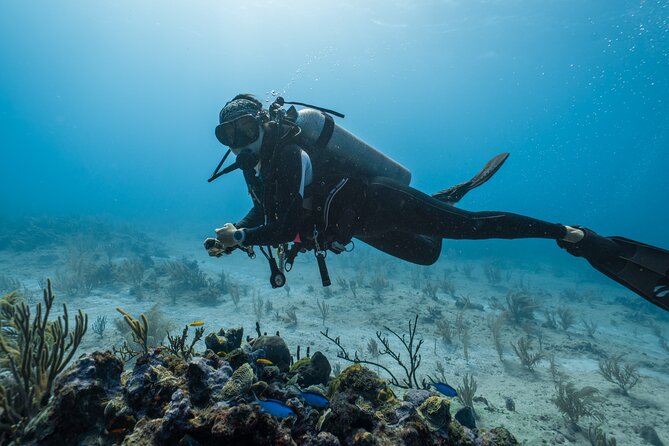 Side Scuba Diving for Beginners with Lunch and Transfers - The first 5 to 12-meter session