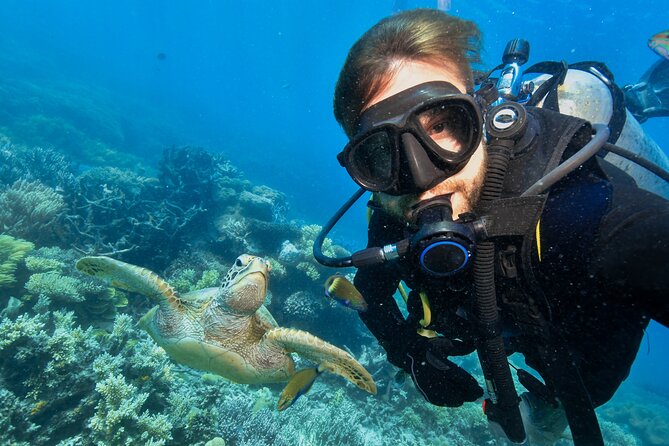 Side Scuba Diving for Beginners with Lunch and Transfers - Swimming and lunch between the two sessions