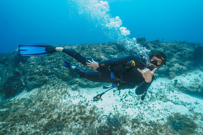 Side Scuba Diving for Beginners with Lunch and Transfers - The second session gives the day more value
