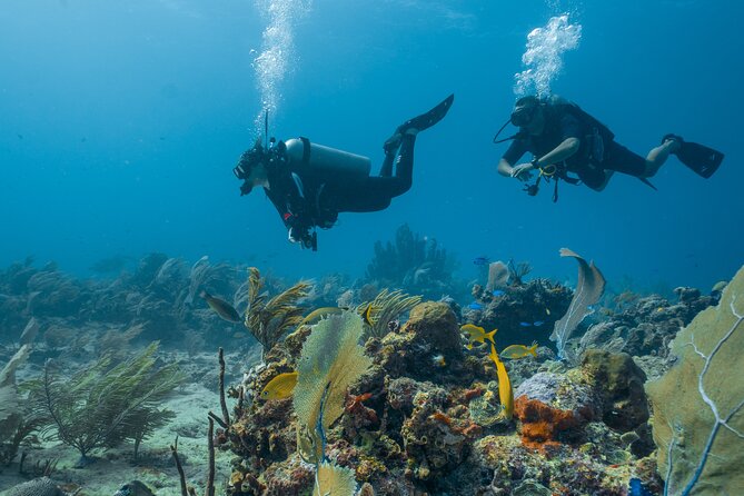 Side Scuba Diving for Beginners with Lunch and Transfers - What the price includes, and what it does not