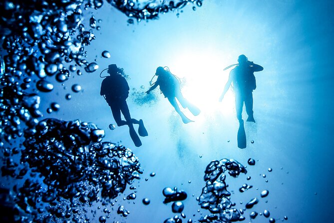 Side Scuba Diving for Beginners with Lunch and Transfers - Who will enjoy this Side boat trip most