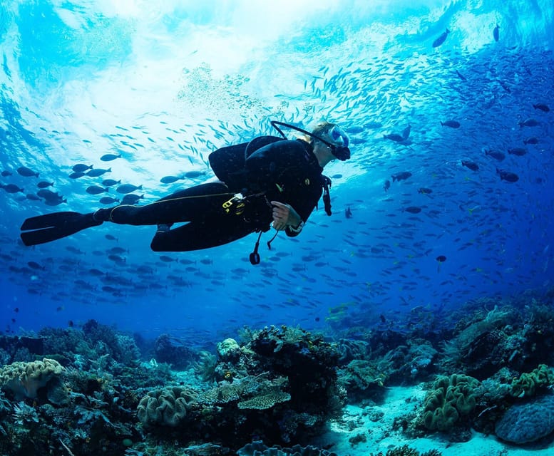 Side: Scuba Diving Tour Journey To The Depths Of The Blue - Lunch and a proper rest on the boat