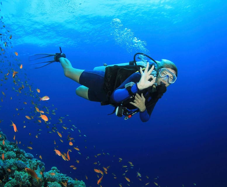 Side: Scuba Diving Tour Journey To The Depths Of The Blue - The second 20-minute session
