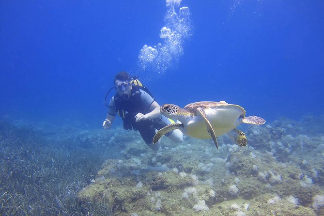 Side: Scuba Diving Under Water Museum - What happens at the Side Antik Kenti area