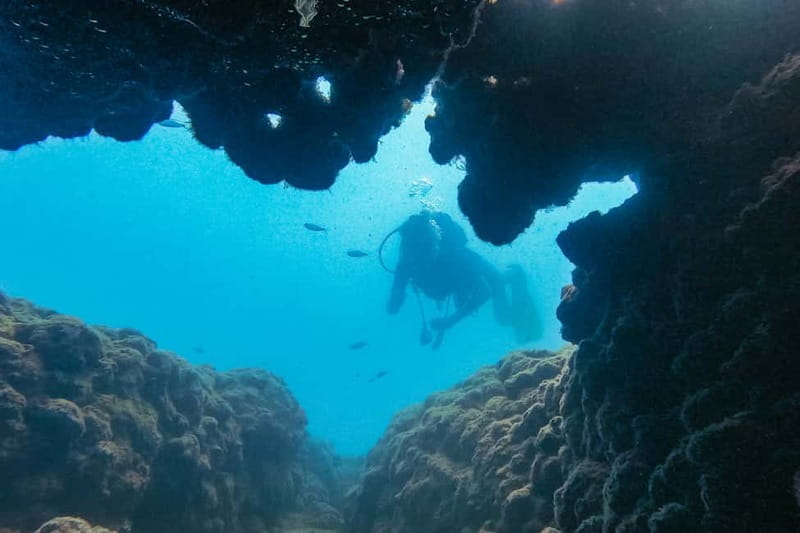 Side: Scuba Diving, Underwater Museum, 2 Dives incl. Lunch - Key points to know before you book