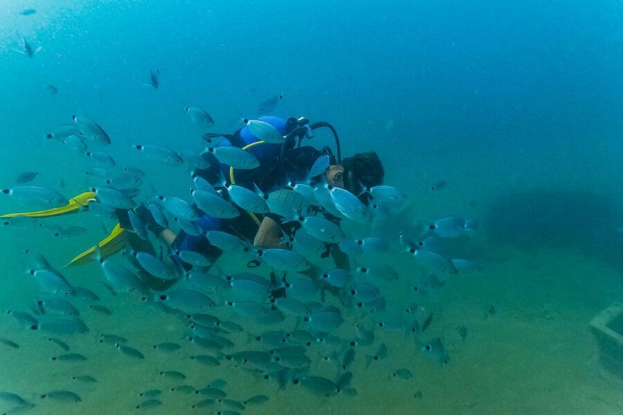 Side: Scuba Diving, Underwater Museum, 2 Dives incl. Lunch - Who will get the most from this experience