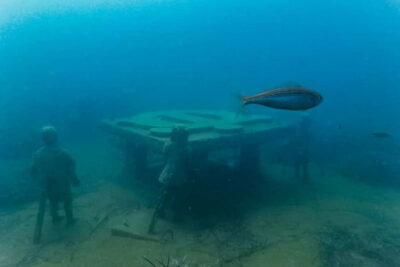 Side: Scuba Diving, Underwater Museum, 2 Dives incl. Lunch