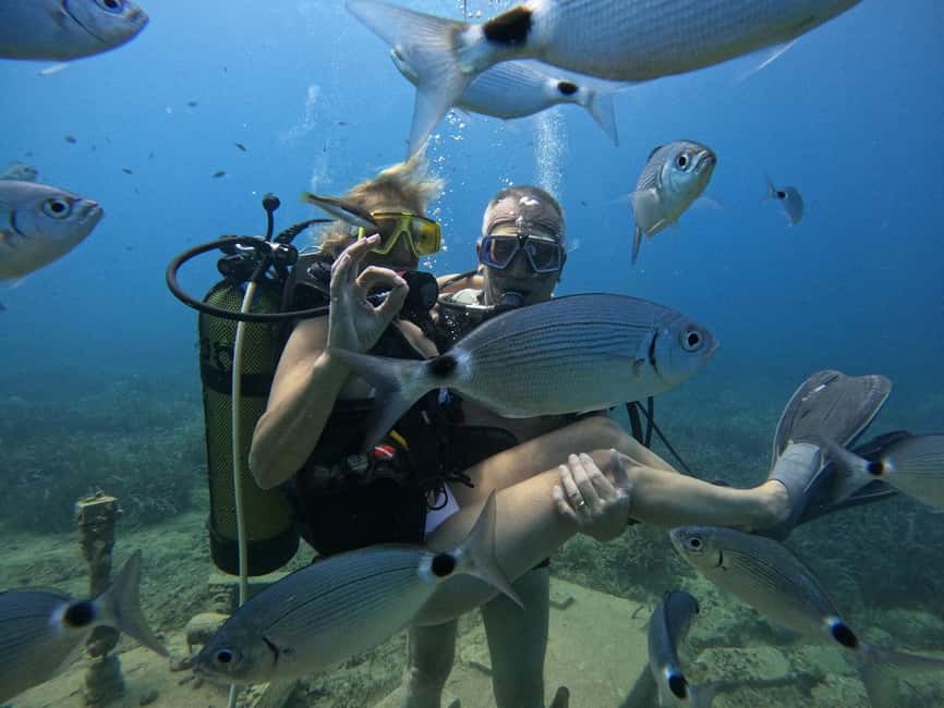 Side: Scuba Diving with Expert Diving Option - Lunch is simple, practical, and welcome