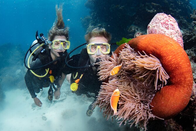 Silverswift Dive and Snorkel Great Barrier Reef Cruise - Certified Scuba and Three Underwater Sessions