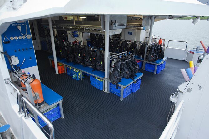 Silverswift Dive and Snorkel Great Barrier Reef Cruise - Who Will Enjoy Silverswift Most