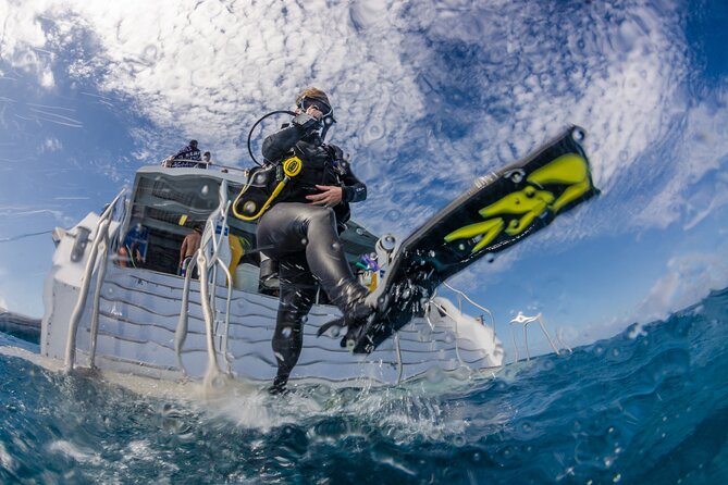 Silverswift Dive and Snorkel Great Barrier Reef Cruise - Booking Details That Matter
