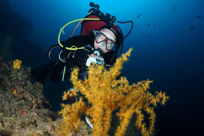 Single Dive for qualified divers from shore, region Puerto del Carmen. - Equipment and the real cost