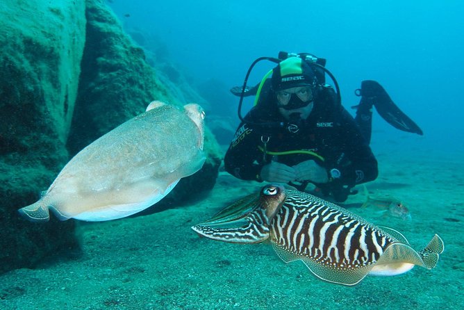 Single Dive for qualified divers from shore, region Puerto del Carmen. - Playa Grande: the main focus of the morning
