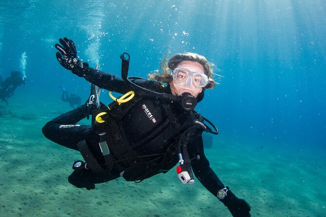 Single Scuba Try-Dive in Puerto del Carmen - small groups - 2 hours - The real value of the $84.21 price