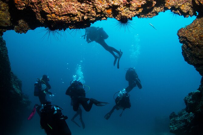 Single Scuba Try-Dive in Puerto del Carmen - small groups - 2 hours - What to bring and how to prepare