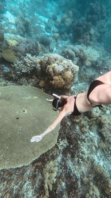 Siquijor: Freediving Adventure with Lunch and Beach Time - Key points to know before booking