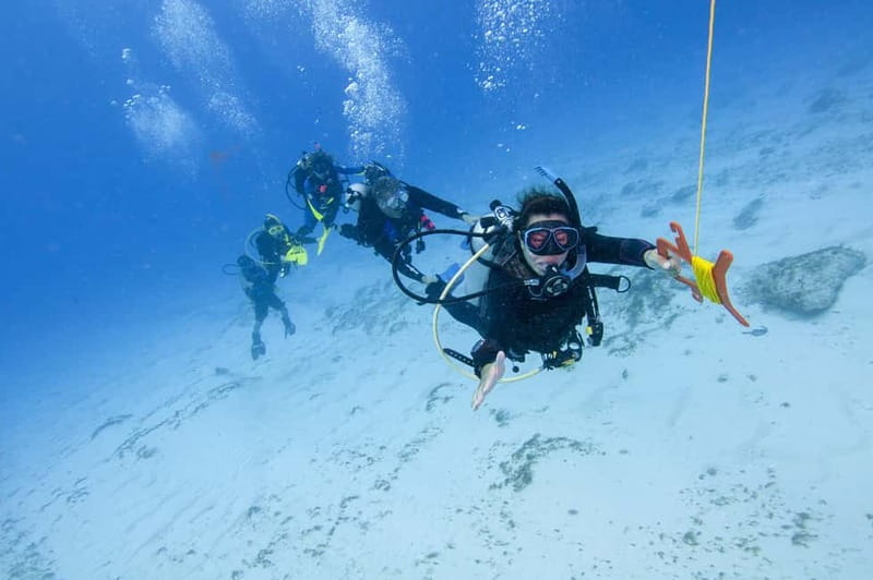 Sithonia: 1 Guided Shore Dive for Certified Divers - Key points at a glance