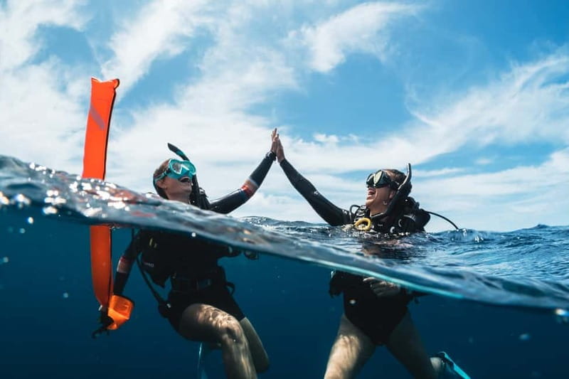 Sithonia: 1 Guided Shore Dive for Certified Divers - Who will get the most from this activity?
