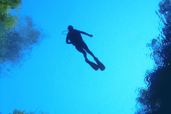 Skip the Line: Lagoa Misteriosa Admission Ticket with Scuba Diving Experience - The underwater scenery: blue depth and golden leaves