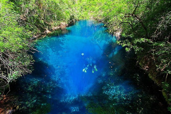 Skip the Line: Lagoa Misteriosa Admission Ticket with Scuba Diving Experience - The forest path and stairway to the water