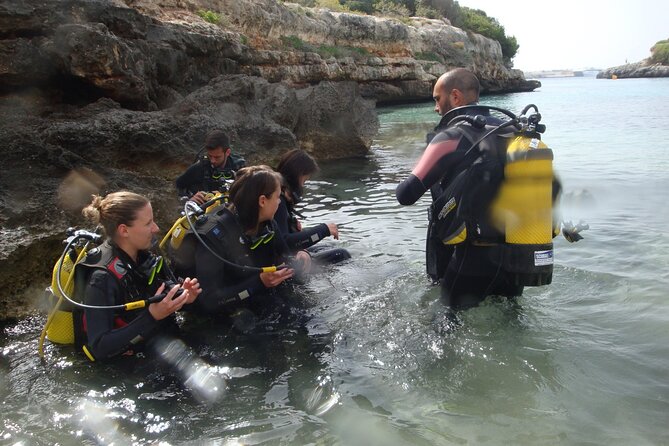 Small Group Diving Adventure in Menorca - Returning to the school after the session