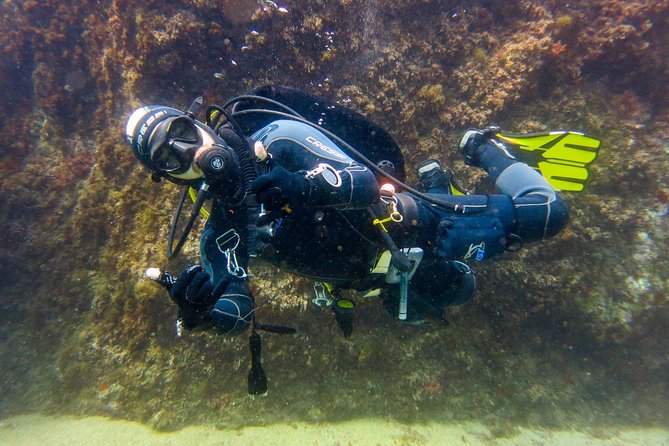 Small Group Diving Baptism in Tossa de Mar - Who will enjoy this Tossa de Mar experience?
