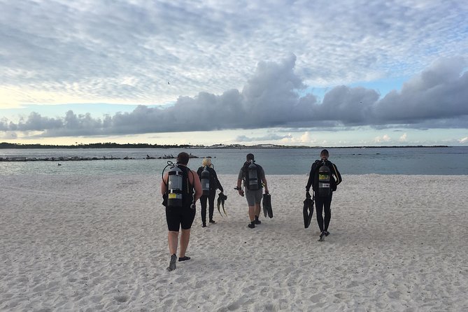 Small Group Guided Shore Dives in St. Andrews State Park, Florida - Key points before you book