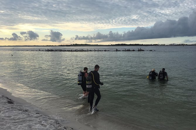 Small Group Guided Shore Dives in St. Andrews State Park, Florida - Why this shore outing is different