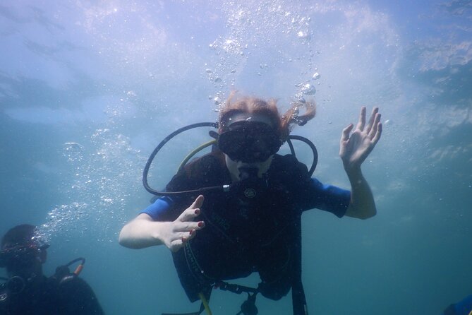 Small-Group Introductory Scuba Diving in Pula - Who should book this experience?