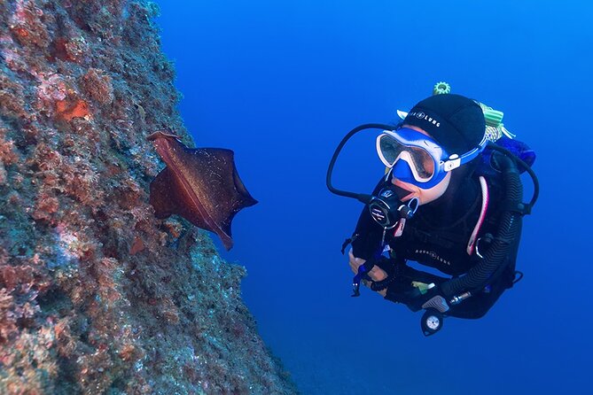 Small-Group Scuba Diving Adventure in Costa Brava - Key points to know before booking