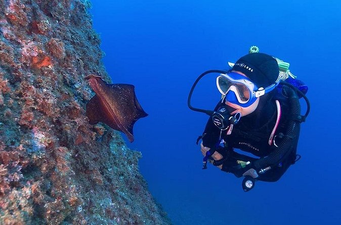 Small-Group Scuba Diving Adventure in Costa Brava - The 45-minute break between sessions