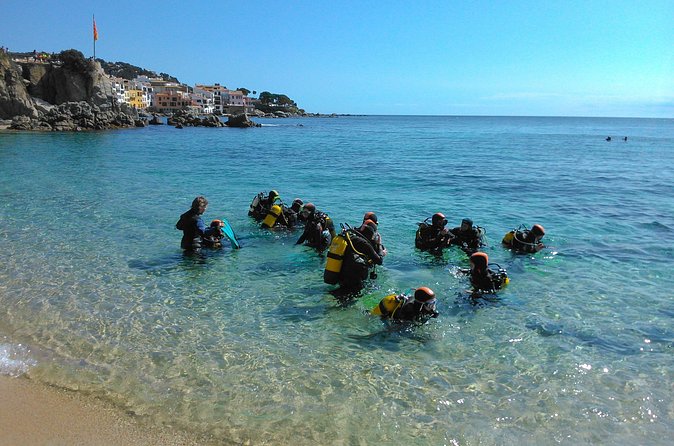 Small-Group Scuba Diving Adventure in Costa Brava - The Costa Brava setting and meeting point