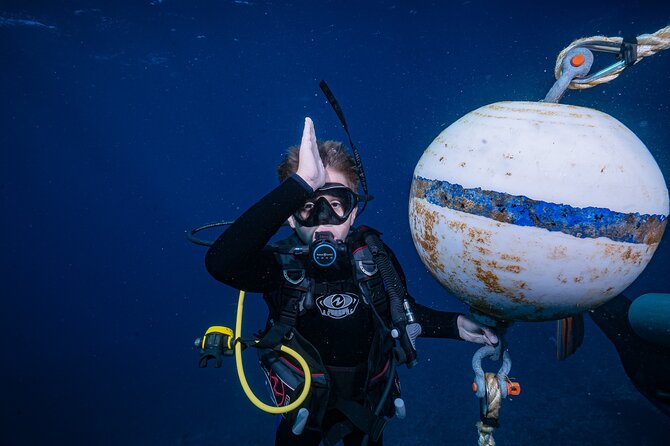 Small-Group Shark and Turtle Dive for Certified Divers - The 7:30 a.m. start and walk to the water