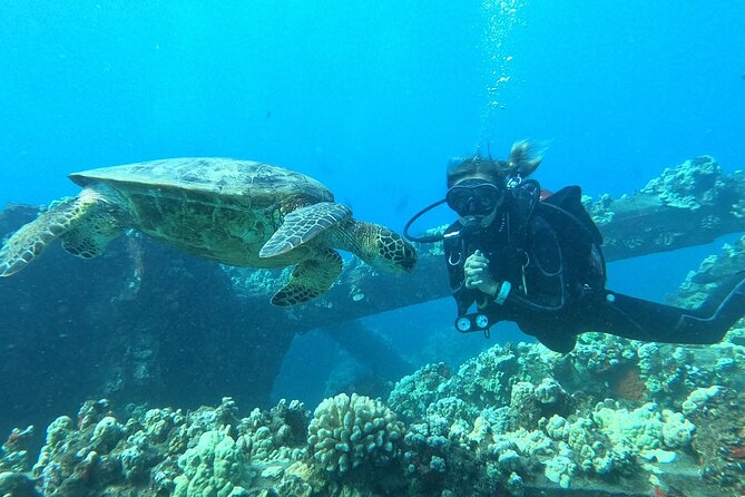 Small-Group Shark and Turtle Dive for Certified Divers - What the $135.80 price really buys you
