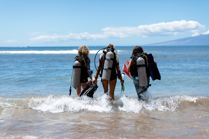 Small-Group Shark and Turtle Dive for Certified Divers - Your briefing with a small professional team
