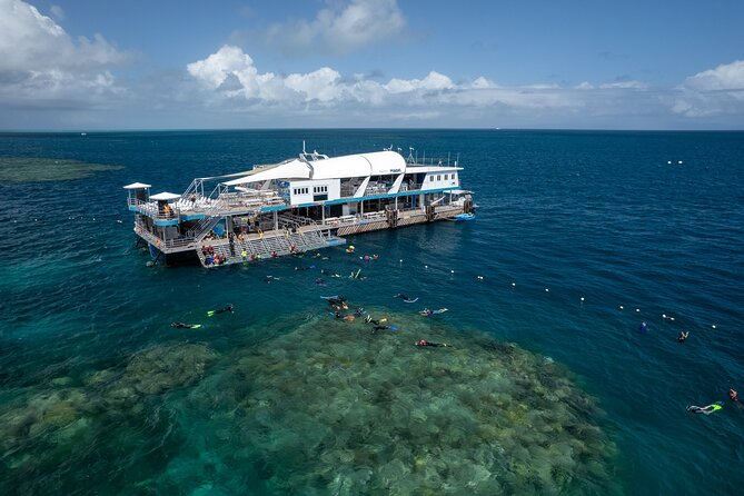 Snorkel & Dive the Reef: Sustainable, Scientific & Cultural Tour - Key points to know before booking