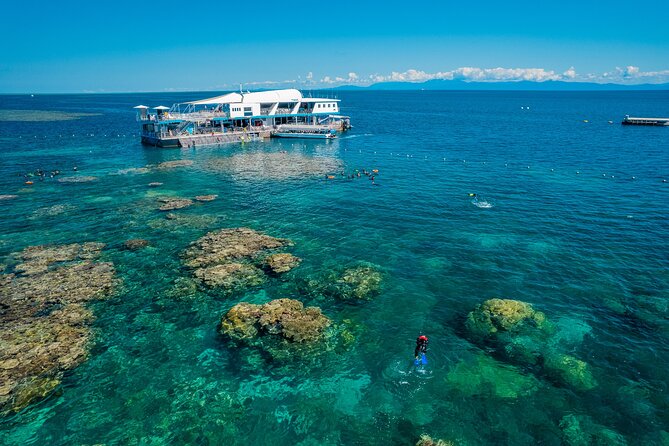 Snorkel & Dive the Reef: Sustainable, Scientific & Cultural Tour - Arriving at the Marine World platform