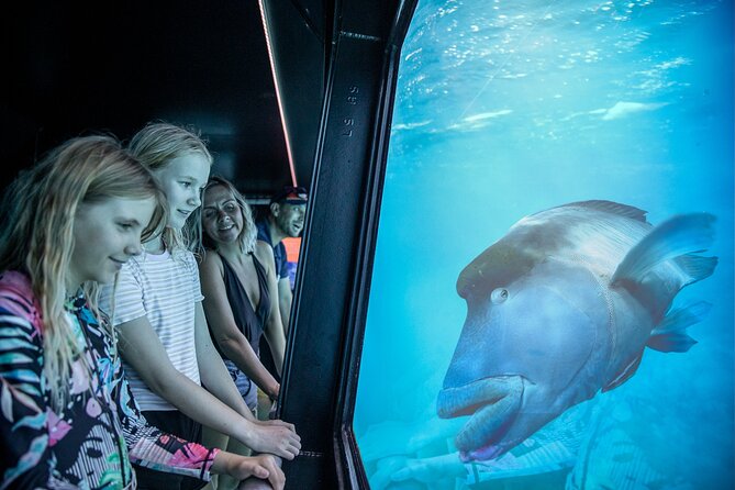 Snorkel & Dive the Reef: Sustainable, Scientific & Cultural Tour - Optional scuba and helmet walking