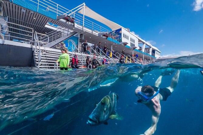 Snorkel & Dive the Reef: Sustainable, Scientific & Cultural Tour - Snorkeling over coral and fish