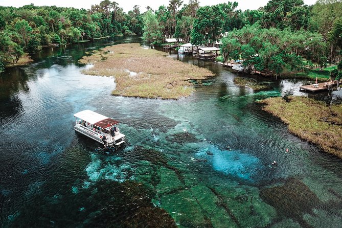 Snorkel Or Dive The Amazing Rainbow River Florida - Key points to know before you book