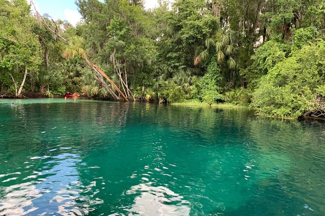 Snorkel Or Dive The Amazing Rainbow River Florida - Snorkeling, scuba, or staying aboard