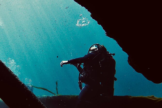 Snorkel Or Dive The Amazing Rainbow River Florida - What the water portion is like