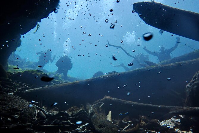 Snorkel Or Dive The Amazing Rainbow River Florida - Who will get the most from this outing