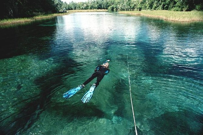 Snorkel Or Dive The Amazing Rainbow River Florida - Rainbow Springs State Park and the river setting