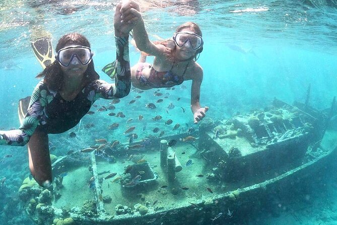 Snorkel Shore Trip with Scubaçao "East Point" - Quick Facts About the East Point Trip