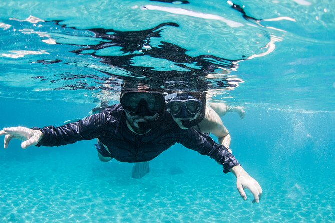 Snorkel Shore Trip with Scubaçao "East Point" - Why This Curaçao Snorkel Trip Feels Different