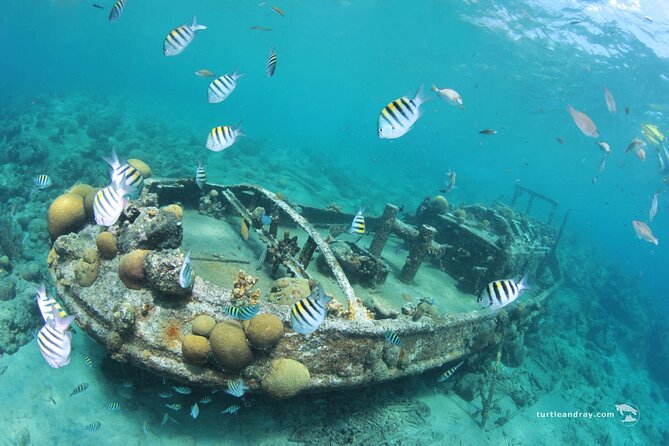 Snorkel Shore Trip with Scubaçao "East Point" - Director’s Bay: Coral, Drop-Offs, and Changing Conditions