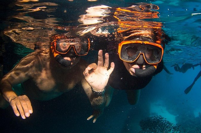 Snorkel Shore Trip with Scubaçao "East Point" - The Light Picnic and Time to Slow Down